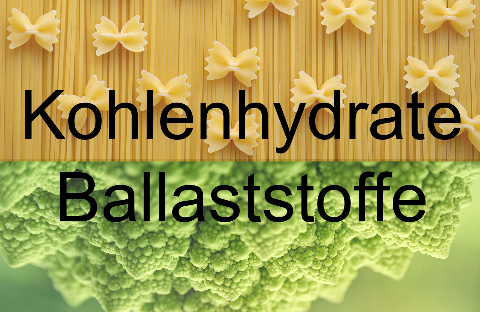 Kohlenhydrate - mehr als nur ein Energielieferant - Ballaststoffe