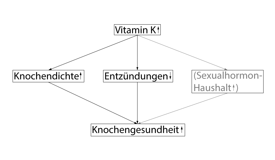 Ernährung bei Osteoporose, Vitamin K