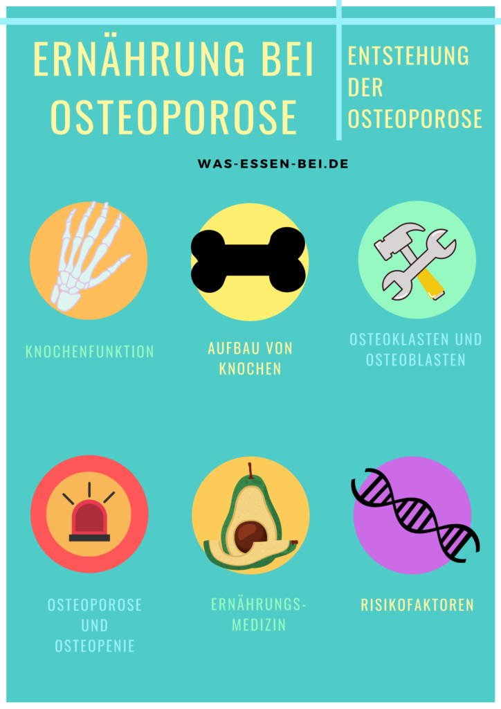 Entstehung von Osteoporose und Osteopenie.